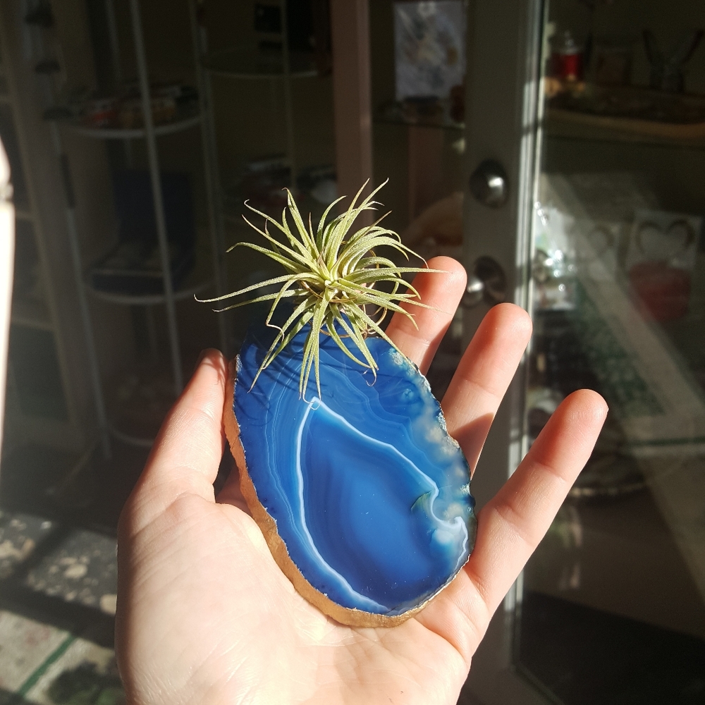 Gorgeous Blue Agate Crystal Decor